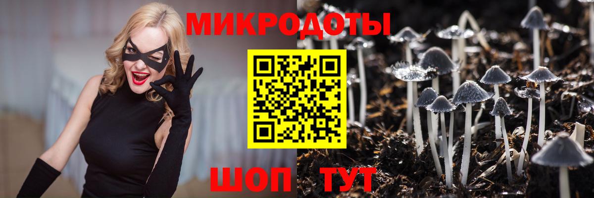 Псилоцибиновые грибы MAGIC MUSHROOMS  Вход с VPN  Похвистнево 
